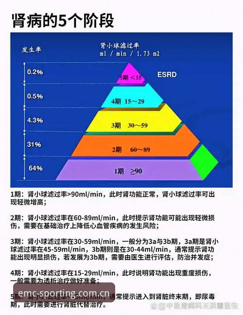 EMC Home篮球赔率变化功能深度评测：从“看数字”到“读数据”的实用指南